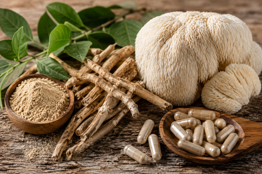 Benefits Ashwagandha & Lion’s Mane